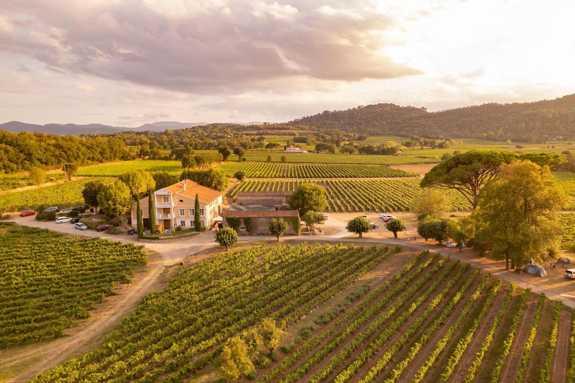 Gite Vert D'Olive Au Milieu Des Vignes - Chateau Les Apies Les Arcs-sur-Argens エクステリア 写真